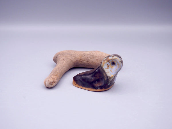 Super Weird Little Dudes